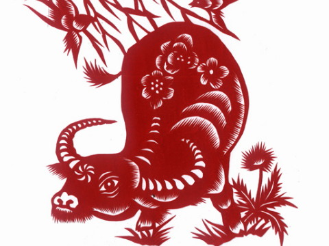 2021年的养老时间和方法。2021年如何解决牛的老年问题