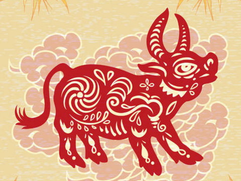 2021牛年的属不适合生孩子