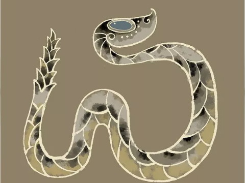 蛇什么时候出生的是一流的生活