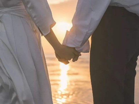 80只猴子和83只猪在一起合适吗