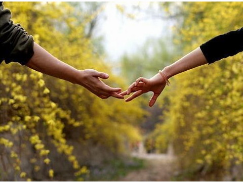 女牛跟男羊合不合 女属牛和男属羊般配吗