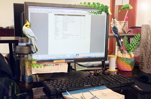 职场中有哪些风水骗子