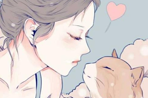 茉莉花如何影响风水