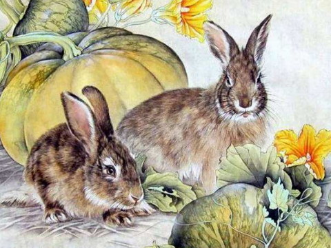 2021年1963兔的幸运色是什么