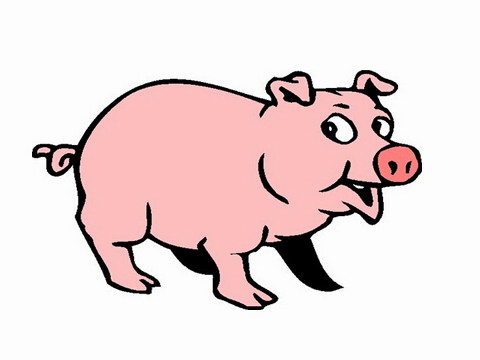 典型的富婆的生活充满了幸福