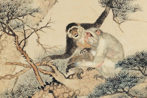 对待最感性的生肖男