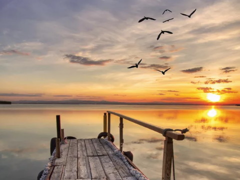 两个金童玉女结婚会怎么样？金人配金人吗？