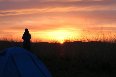 适合外地发展的八字命理