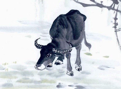 牛年宝宝是什么时候出生的