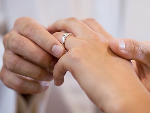 老虎的最佳搭配是什么？它是老虎最好的伴侣