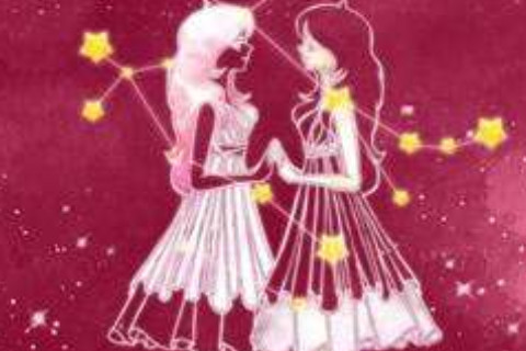 属猪的双子座性格如何