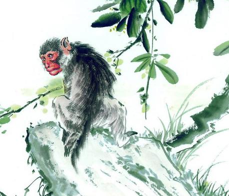 十二生肖猴的最佳伴侣