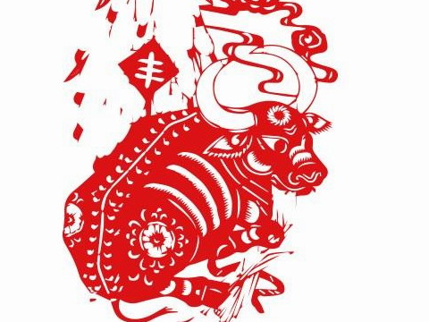 这是牛最悲惨的出生日期