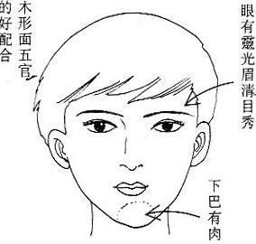 王宓女性的面部特征