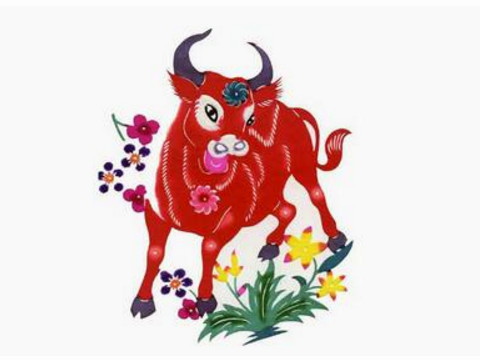 73头牛和80只猴子的婚姻是怎样的