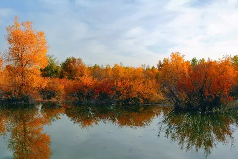 八字职业，八字看你最适合哪个岗位