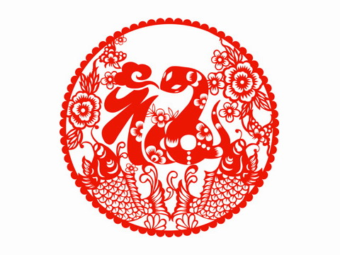 31岁的蛇命运如何