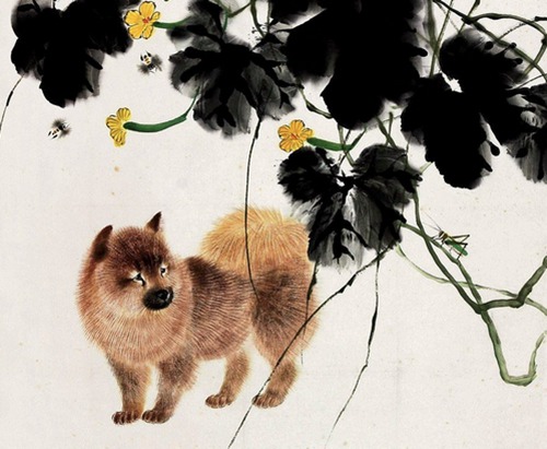 属于狗和什么属于财富