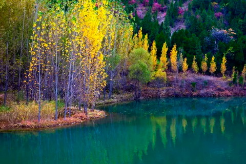 八字人最容易求财