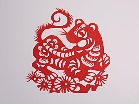 老虎的出生年份和年龄