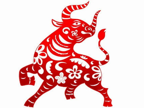 1997年和1998年的牛和老虎配吗？牛和老虎合得来吗