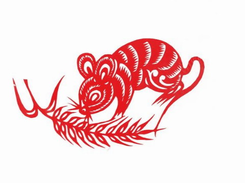 1996年母鼠的婚姻状况