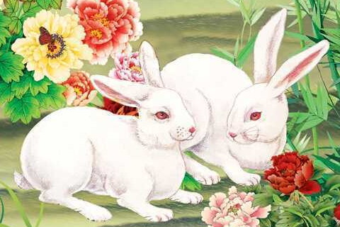 生肖女生为狐狸