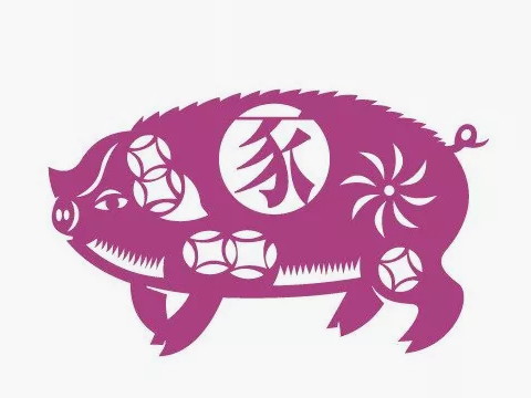 2021年什么样的生肖对猪好