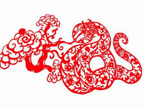 是2021，一条蛇，适合移动