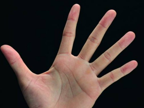 一个有十个簸箕和十个斗的掌阅者有着美好的生活