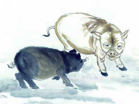 1959年和2021年猪的幸运色是什么