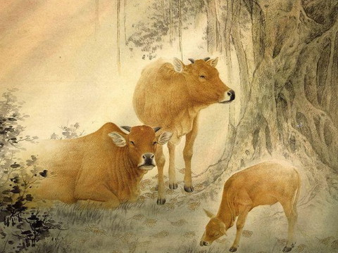 1973年牛鸣晚年受苦是真的吗?