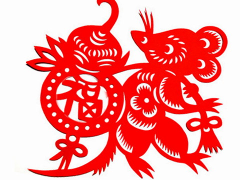 当老鼠遇到猴子时会发生什么