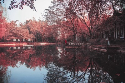 沙发家具配图